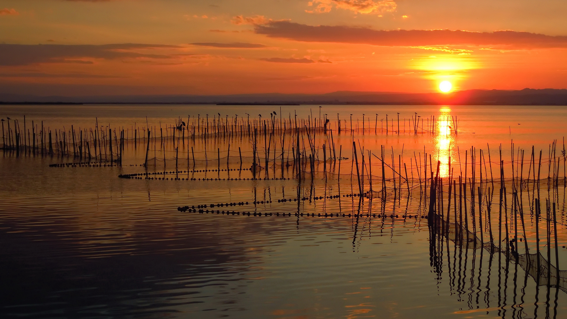 Winterabend am Albufera See