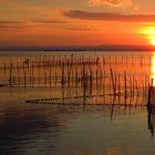 Winterabend am Albufera See