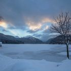 ~ Winterabend am Alpsee ~