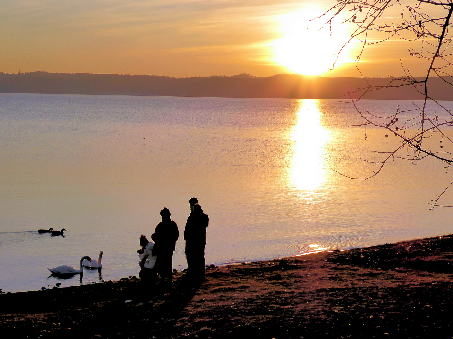 Winterabend am Braccianosee