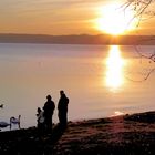 Winterabend am Braccianosee