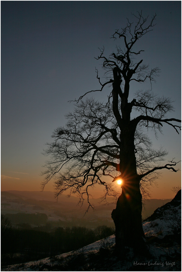 Winterabend am Buchschirm