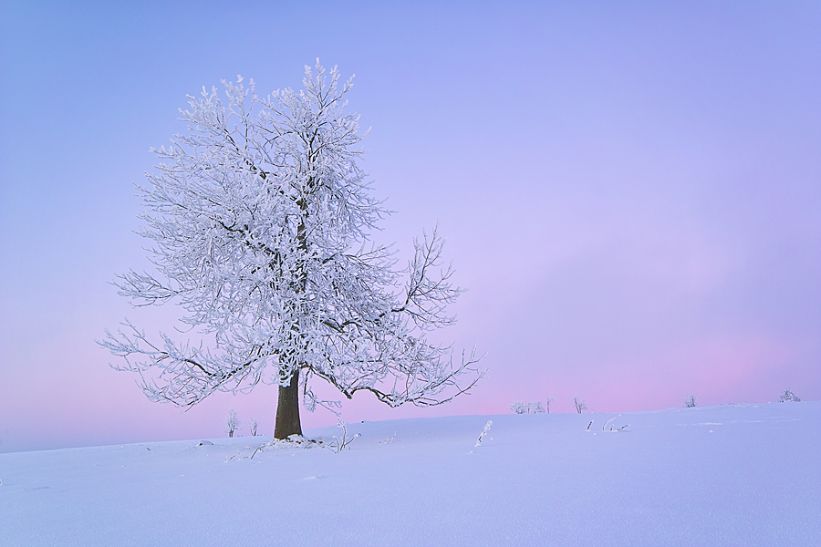 Winterabend am Erzgebirgskamm