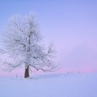 Winterabend am Erzgebirgskamm