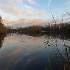 Winterabend am Fischteich