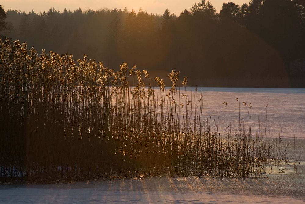 Winterabend am Fohnsee (6)