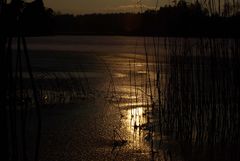 Winterabend am Fohnsee (9)