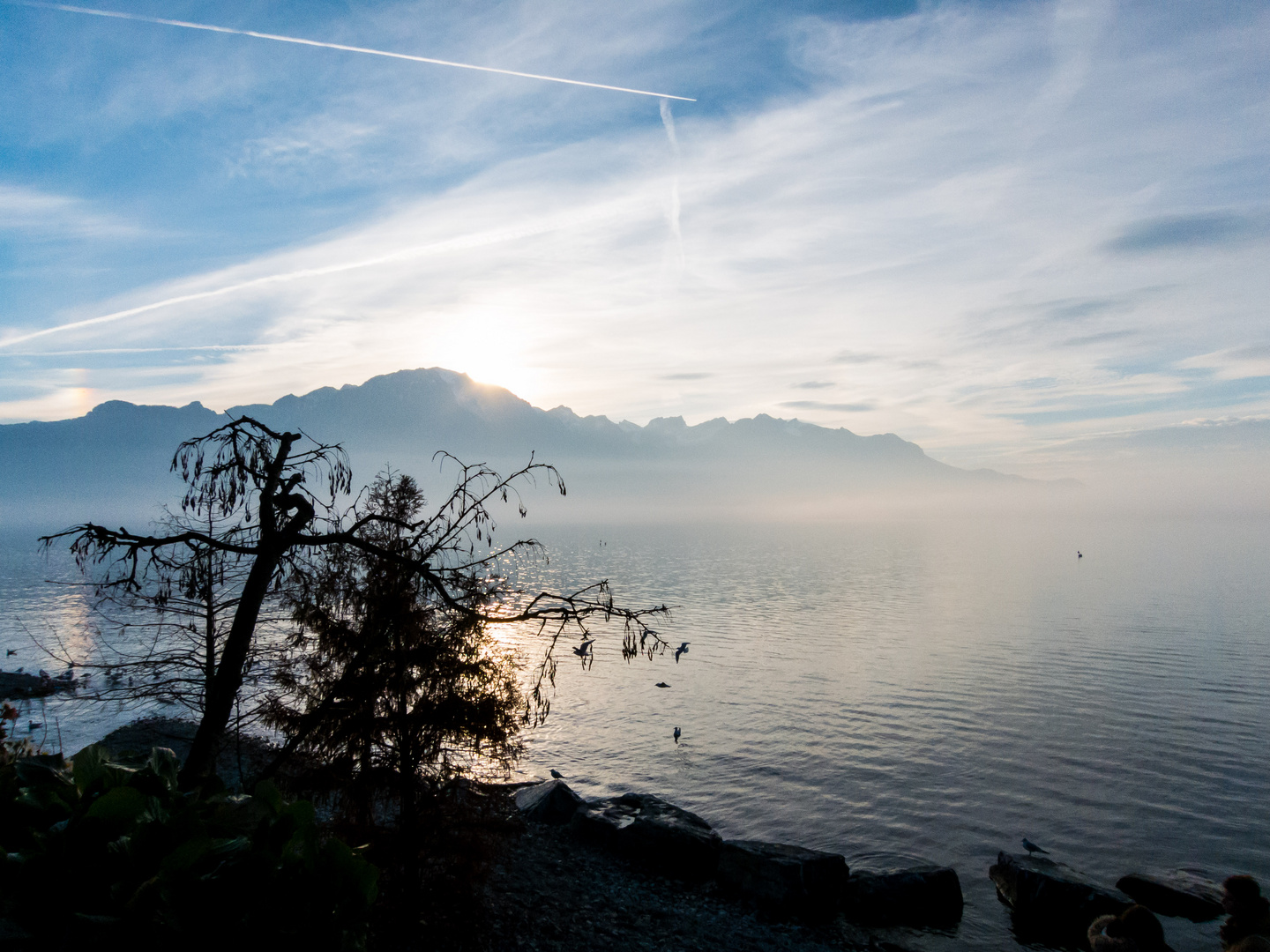 Winterabend am Genfer See in Montreux