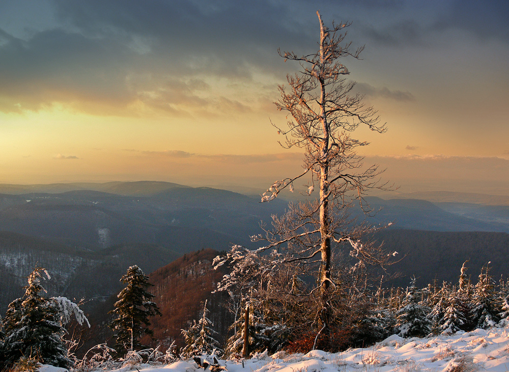 Winterabend am Inselsberg