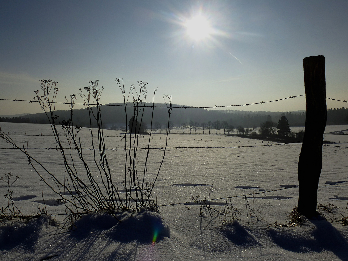 Winterabend am Knüllköpfchen