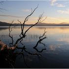 Winterabend am Laacher See