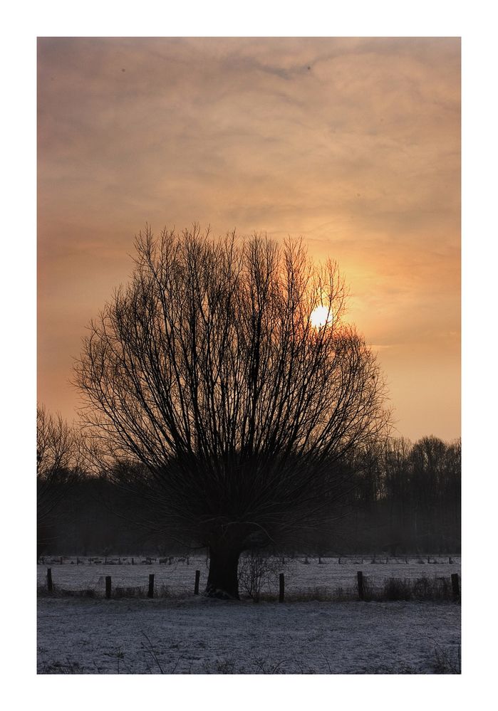 Winterabend am Niederrhein 2