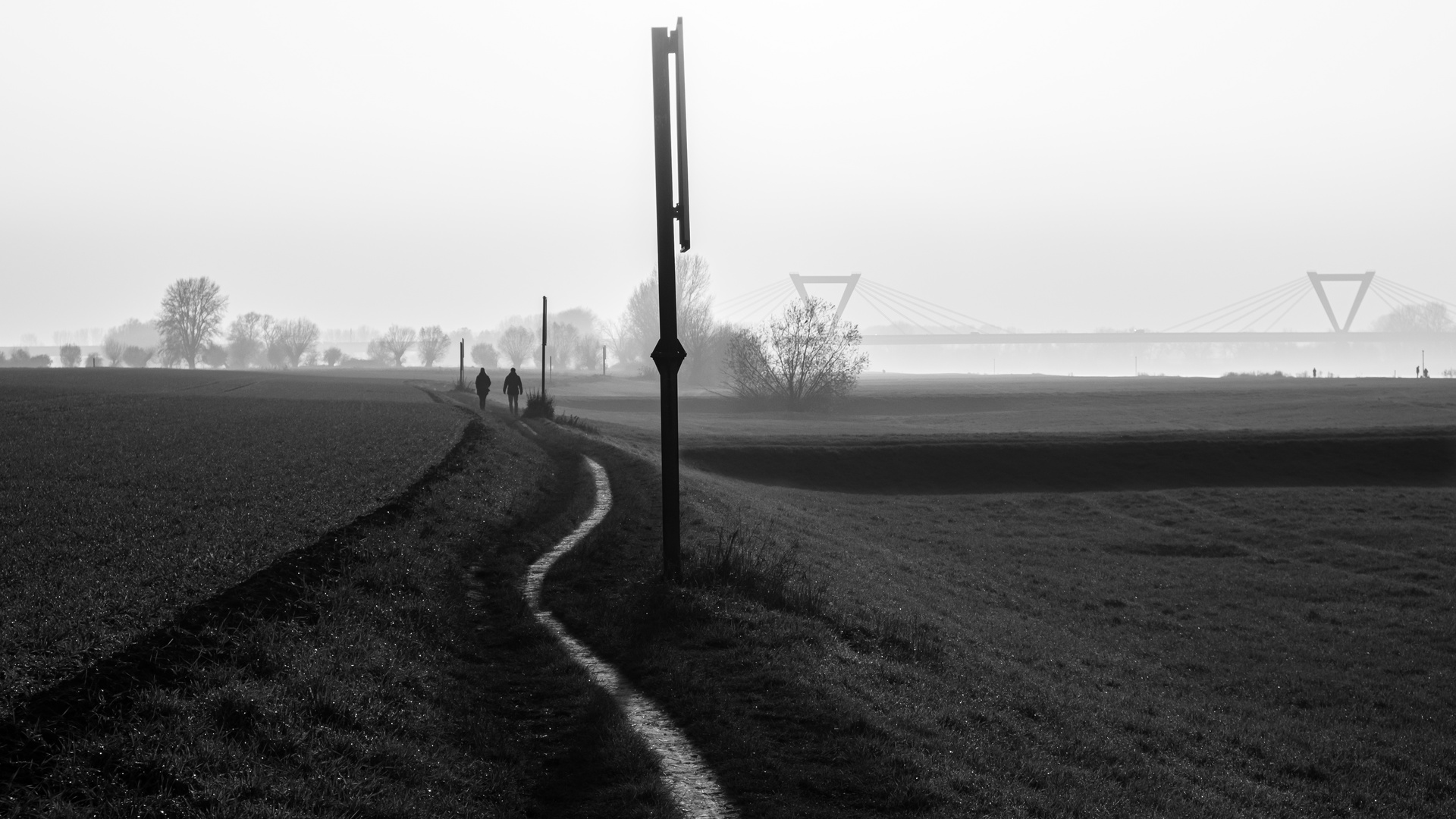 Winterabend am Rhein