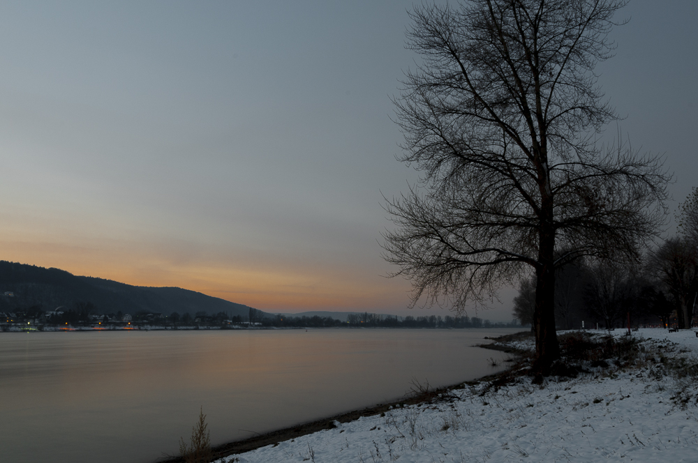 Winterabend am Rhein