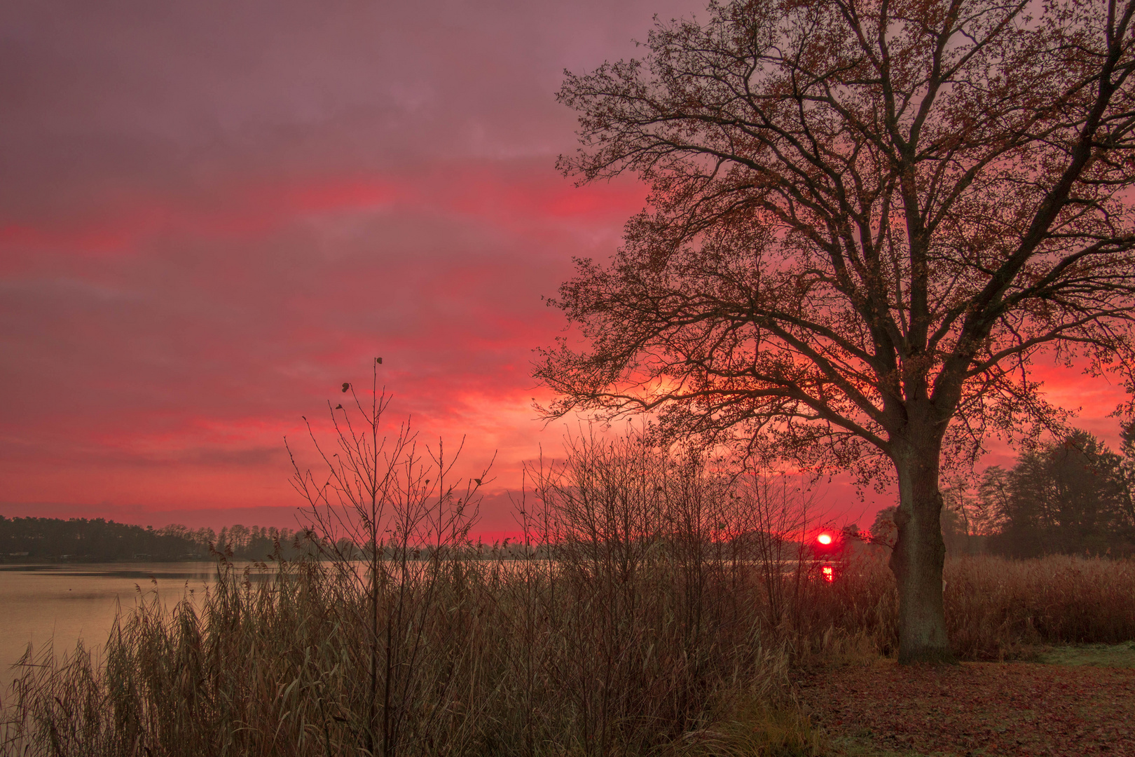 Winterabend am Rudower See