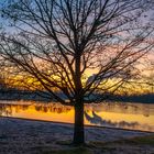 Winterabend am See