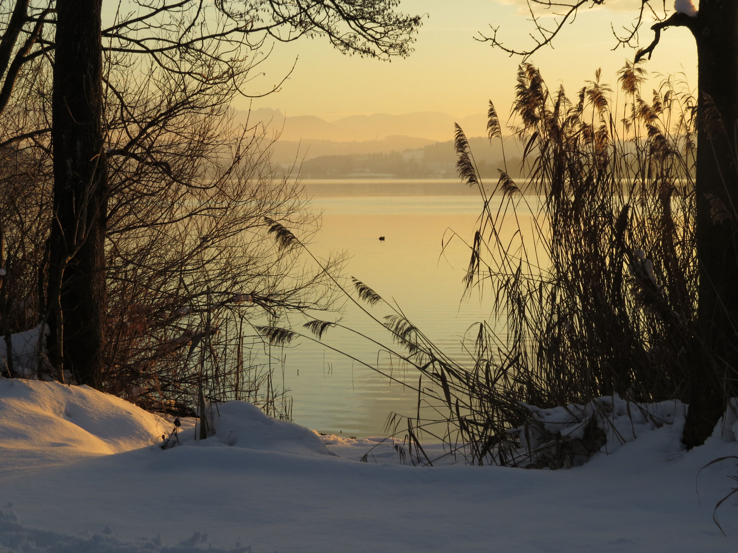 Winterabend am Tachinger See