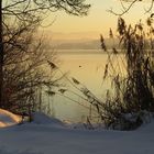 Winterabend am Tachinger See