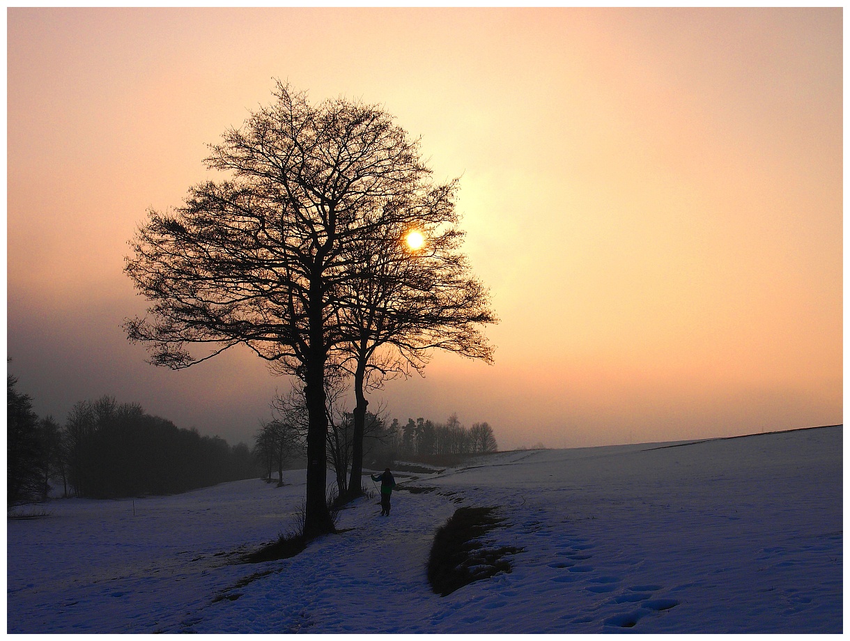 Winterabend am Teufelsbach