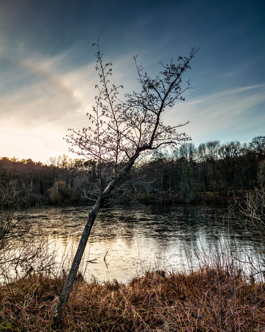 Winterabend am Teufelssee