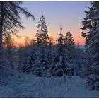 Winterabend am Waldstein