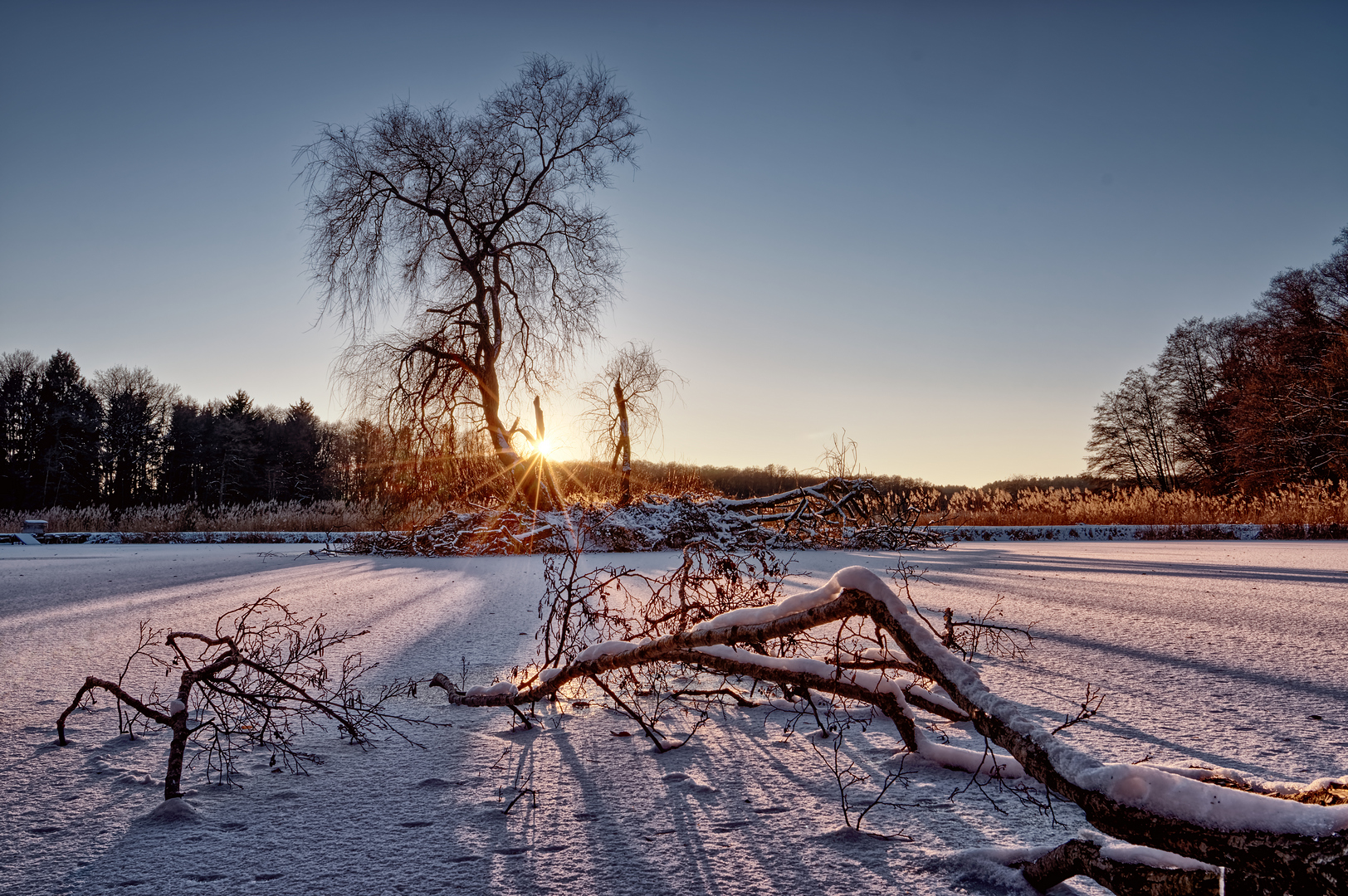 Winterabend am Weiher