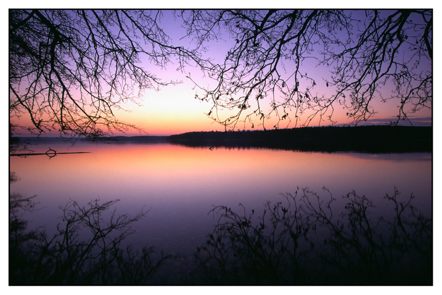 Winterabend am Werbellinsee