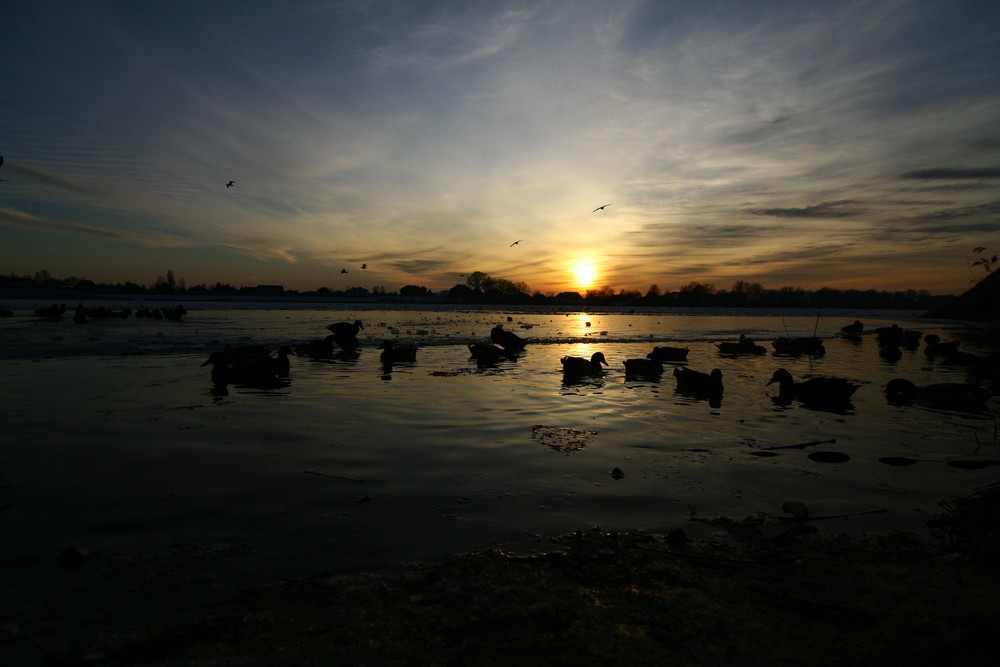 Winterabend an der Elbe