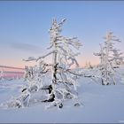 Winterabend auf dem Brocken 