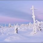 Winterabend auf dem Brocken II