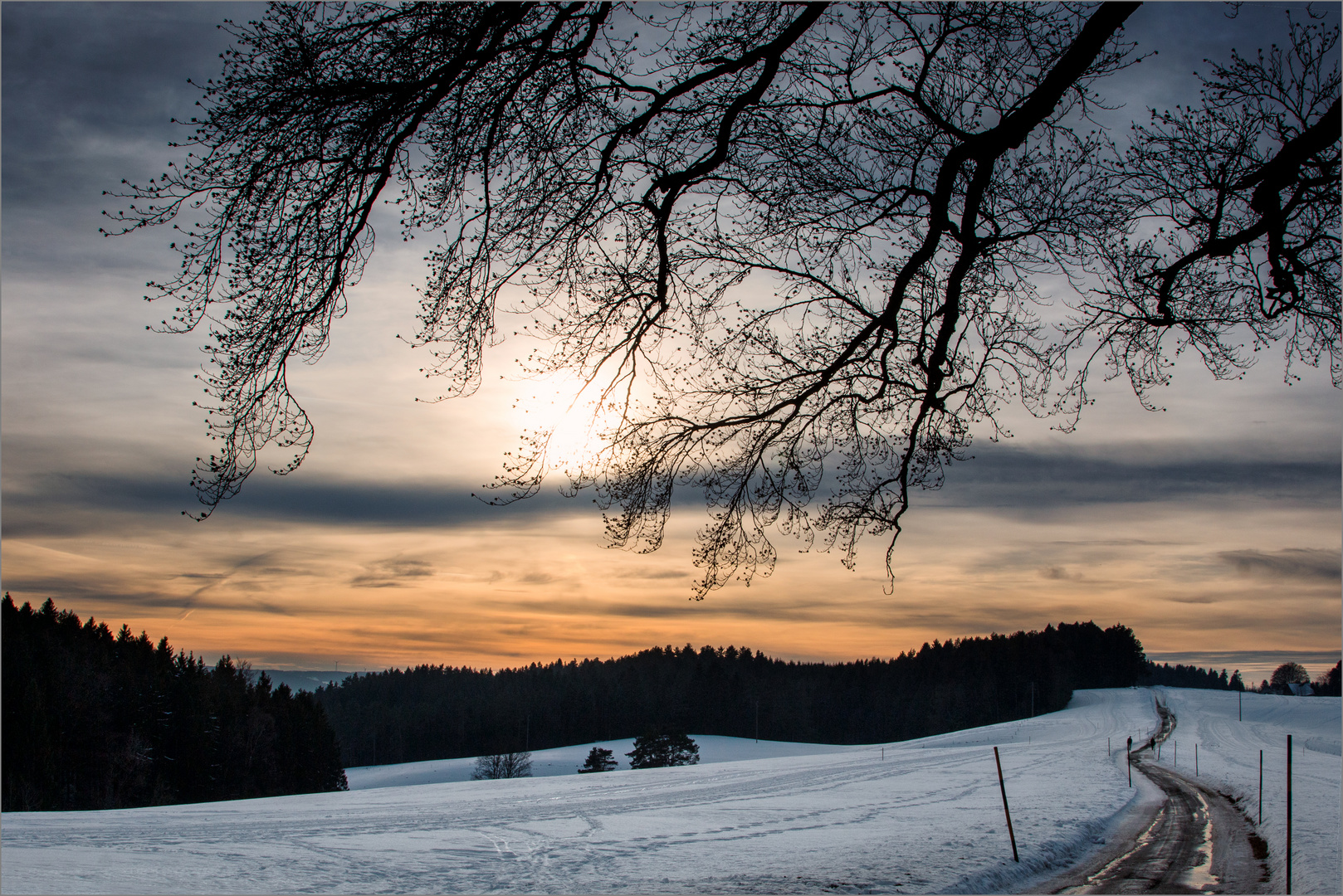 Winterabend auf dem Fohrenbühl im Schwarzwald