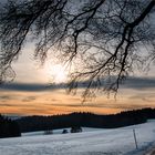 Winterabend auf dem Fohrenbühl im Schwarzwald