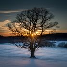 Winterabend auf der Alb