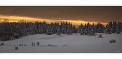 Winterabend auf der Fuchskaute 1