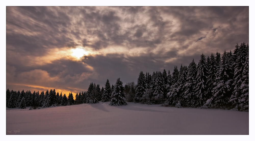 Winterabend auf der Fuchskaute