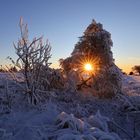 Winterabend auf der Hornisgrinde