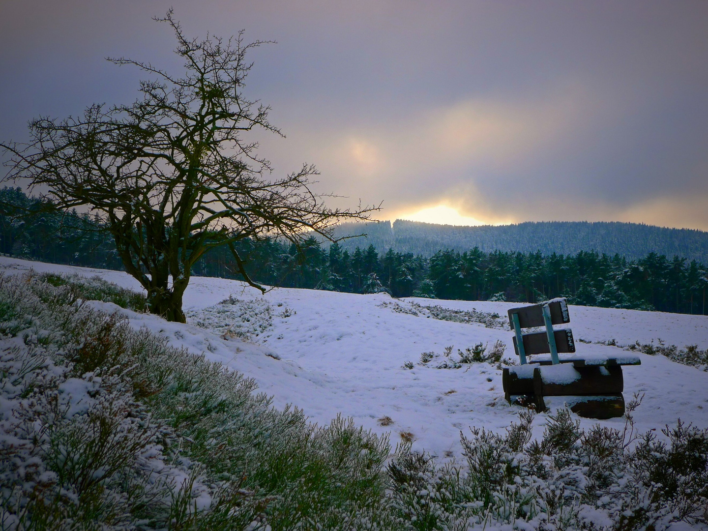 Winterabend auf Goslars Bergwiesen