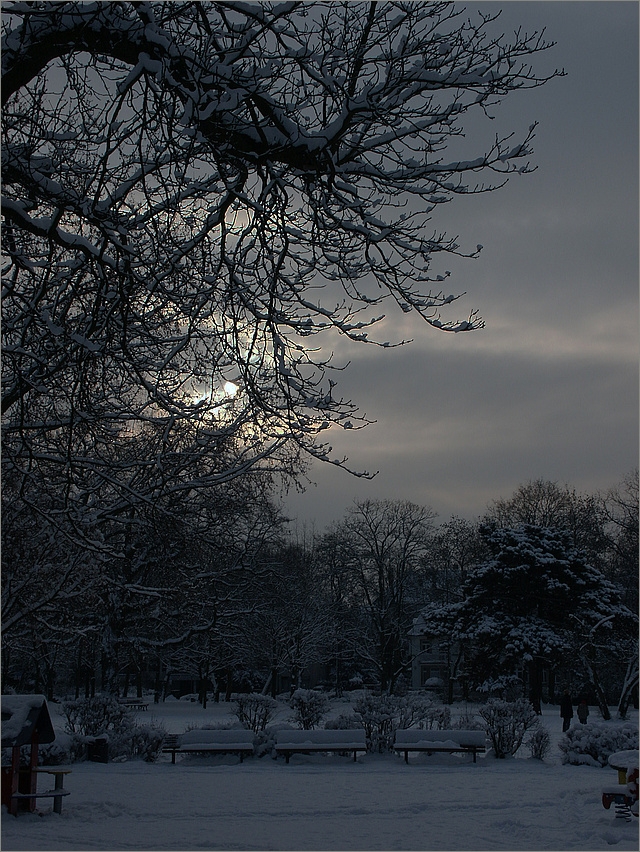 Winterabend Foto Bild Jahreszeiten Winter Natur Bilder Auf Fotocommunity