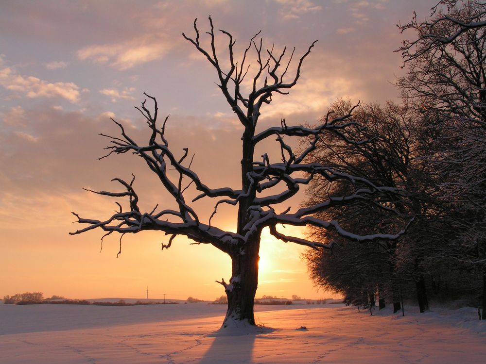 Winterabend von WernerReiner 