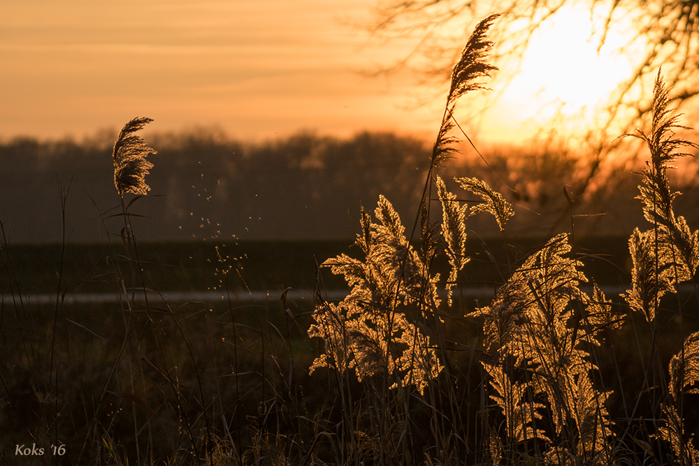 Winterabend