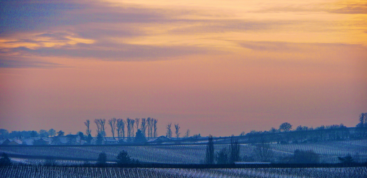 Winterabend bei Landau