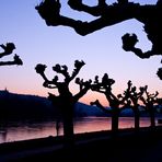 Winterabend bei Rüdesheim