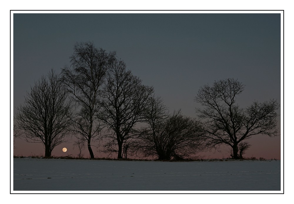 Winterabend bei Vollmond