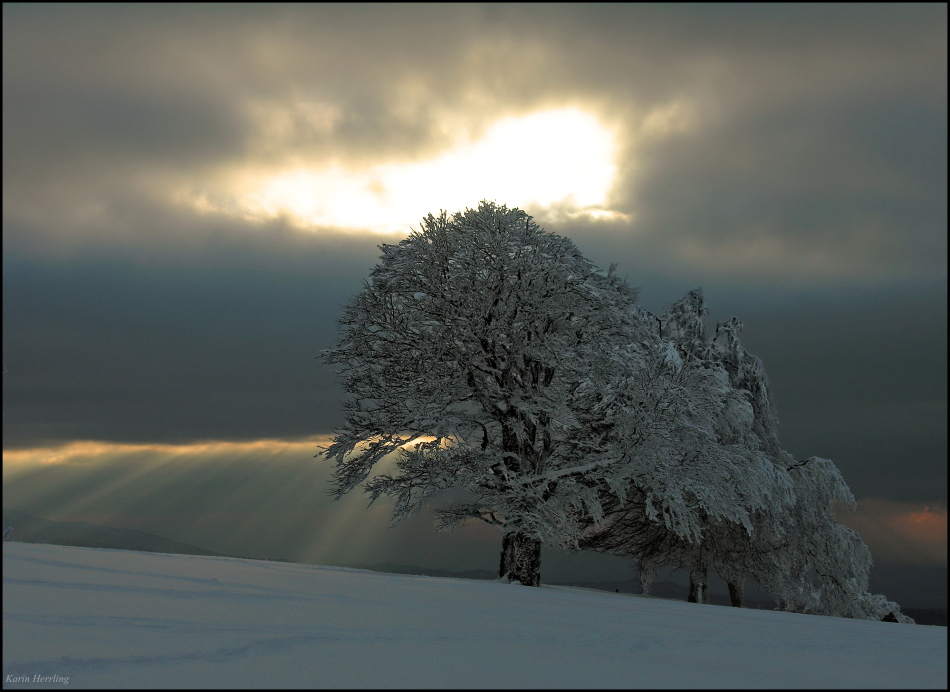 Winterabend