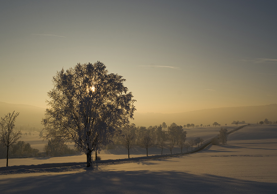 Winterabend