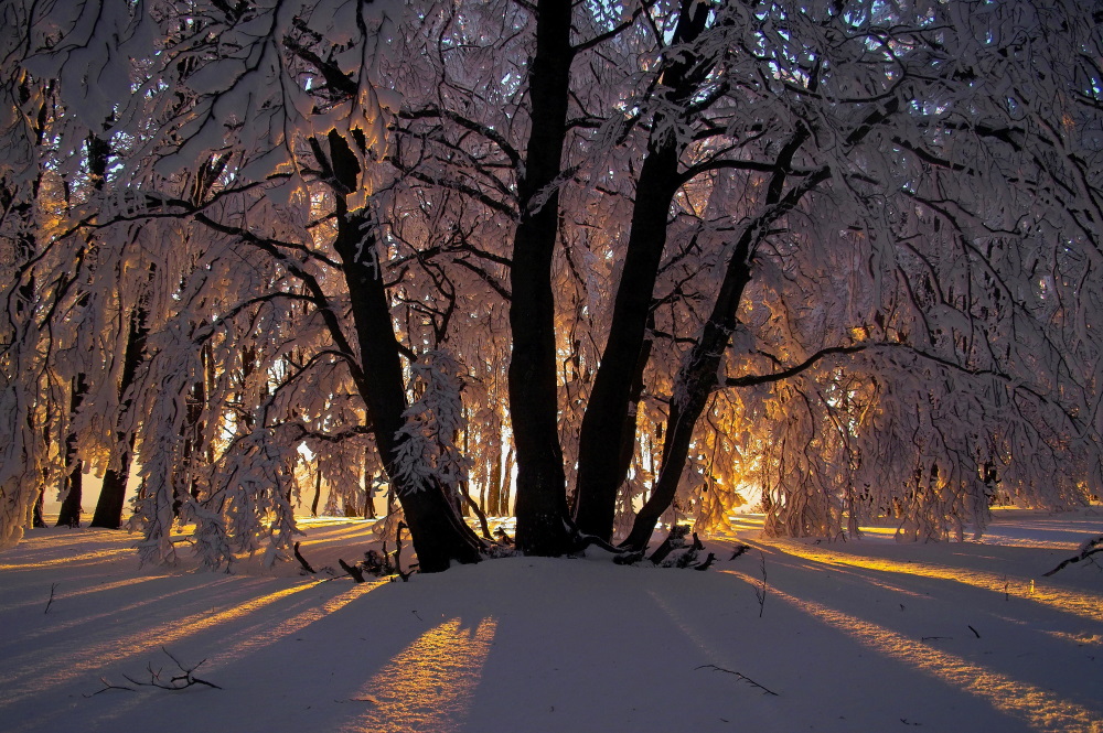 Winterabend von Karl Herrling