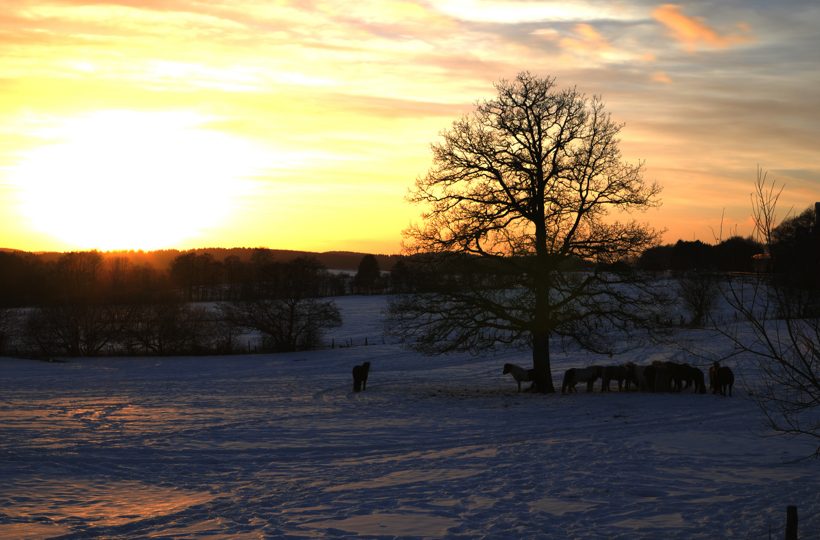 Winterabend