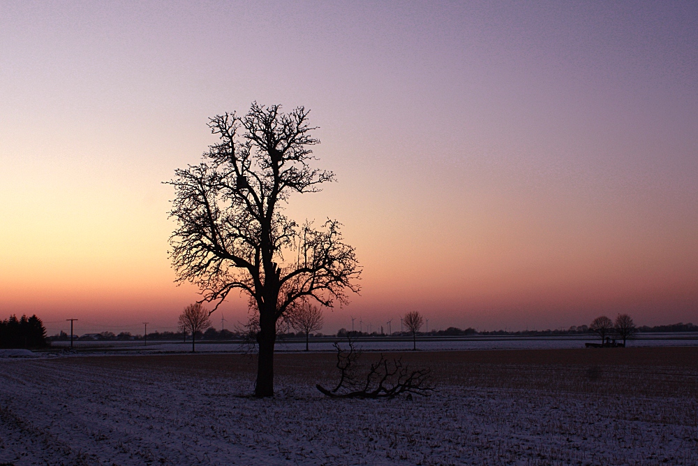 Winterabend