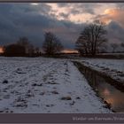 Winterabend im Barnim/Brandenburg 1