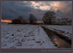 Winterabend im Barnim/Brandenburg 1